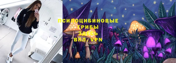прущие крисы Киренск