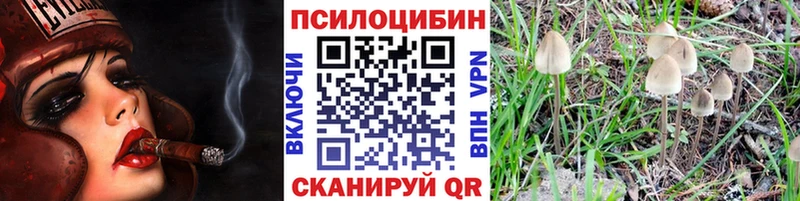 Псилоцибиновые грибы GOLDEN TEACHER  Купить закладки  Дмитровск 