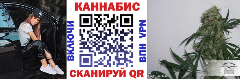 Купить где  Дмитровск  Конопля семена 